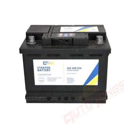 CARTECHNIC 12V 60Ah 540A R+ ULTRA POWER